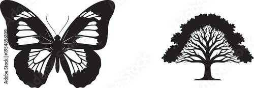 A butterfly perches on a tree branch in a natural setting outdoors.