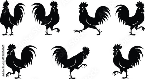 Black rooster and cock silhouettes set in various poses walking standing and crowing isolated on white background for farm design