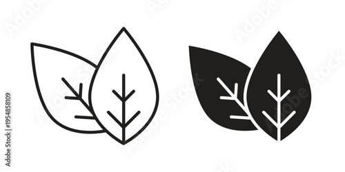 Basil icon concept design set. Icon Element For Design