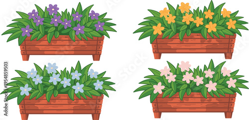 Set of flat vector illustrations featuring colorful spring flowers in wooden planter boxes, isolated white