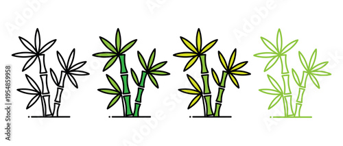 stages of plant growth illustration from seedling to mature green leaves