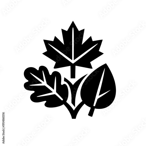 Diverse Nature Foliage Icon: A Stylized Collection of Maple, Oak, and Generic Leaf Shapes with Subtle Grass Elements, Representing Botanical Variety, Environmental Themes, and Natural Beauty in a Simp