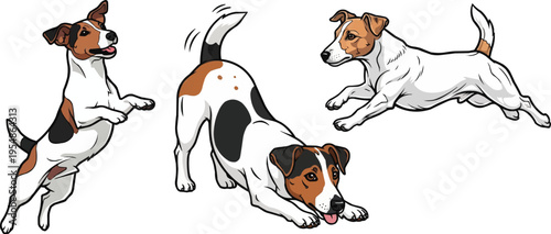 Jack Russell Terrier dog happy play bow jumping running pose set