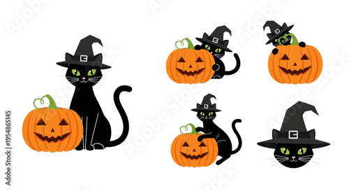 Cute black cats wearing witch hats with pumpkins - Halloween illustration