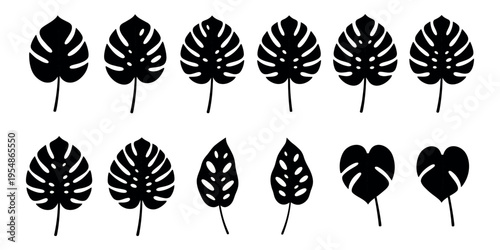Set of diverse black monstera deliciosa leaf silhouettes on a white background, perfect for tropical and minimalist designs.