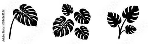 Set of black monstera deliciosa leaf silhouettes on a white background. Minimalist tropical plant icons and flat vector foliage illustrations.