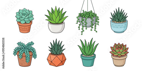 Collection of hand-drawn succulent plants and cacti in various decorative pots, including aloe and echeveria, isolated on white background.