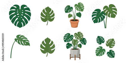 Set of monstera deliciosa leaf illustrations and potted houseplants. Minimalist green botanical vector icons isolated on a white background.