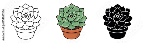 Succulent in a pot shown in three styles: outline, colored illustration, and black silhouette. Ideal for coloring pages, icons, and botanical designs.