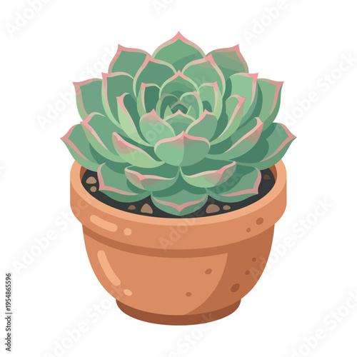 Illustration of a vibrant green echeveria succulent with pink tips in a terracotta clay pot, isolated on a white background.