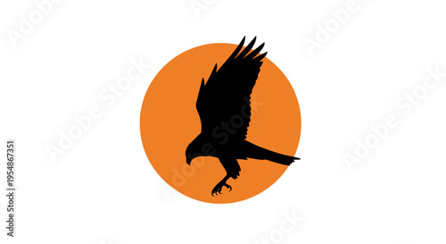 Black bird in flight silhouette.