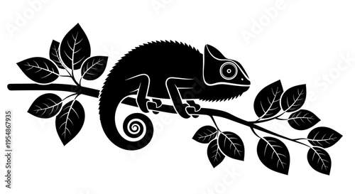 Black Chameleon on Branch.
