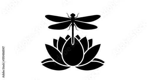 Black dragonfly on lotus flower 1.
