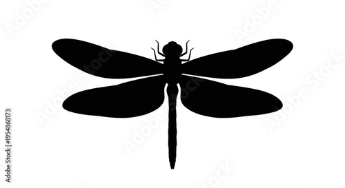 Black Dragonfly Silhouette Icon.