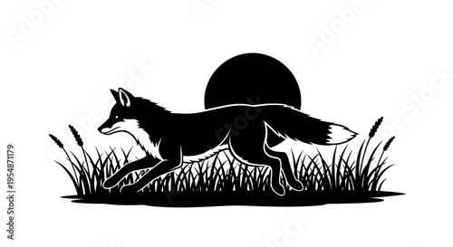 Black Fox Running in Grass.