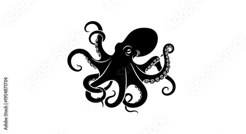 Black octopus on white background.