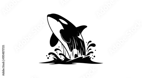 Black orca jumping out water.