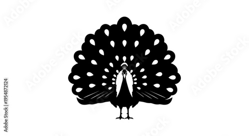 Black Peacock Bird Silhouette Portrait.