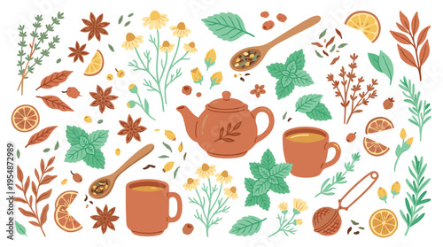 Hand drawn herbal tea elements set with teapot cups and natural ingredients