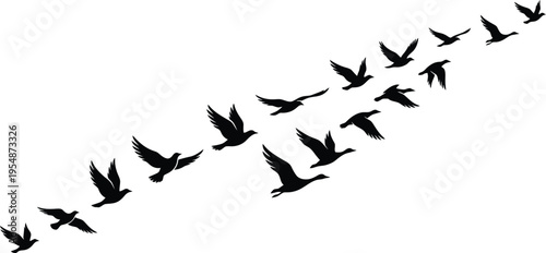 Black bird silhouettes flying in formation, vector illustration of migrating birds, flock of birds in flight, wildlife nature design elements
