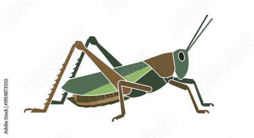 Green grasshopper insect closeup profile.