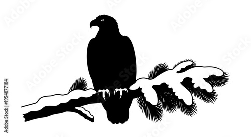 Eagle Perched on Tree Branch.