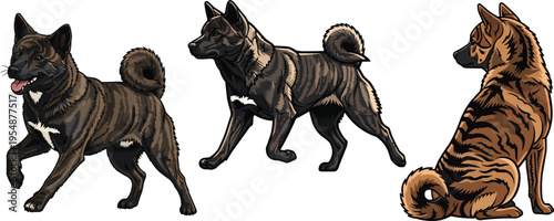 Kai Ken dog walking playful sitting rear view looking away pose set