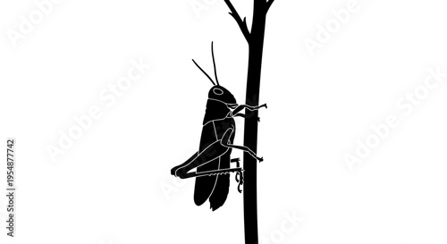 Grasshopper on a branch.