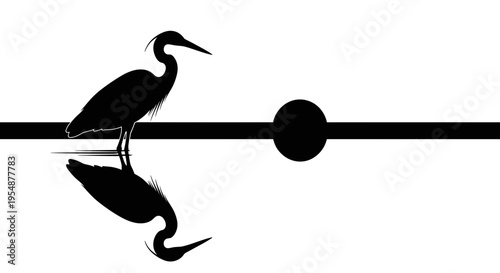 Heron on a power line.