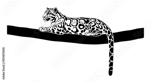 Leopard on a black ribbon.