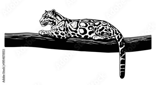 Leopard resting on tree branch.