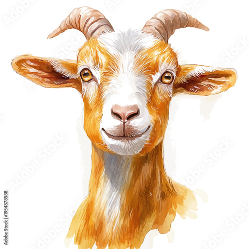 Goat, watercolor painting vector, isolated on a white background.