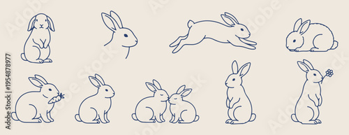 Cute jumping rabbits pattern, hand drawn bunny animal doodle, playful rabbit nature background art, nursery animal seamless texture vector, wildlife forest rabbit sketch pattern, adorable bunny charac