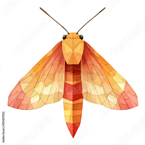 Firefly, watercolor clipart vector, isolated on a white background.