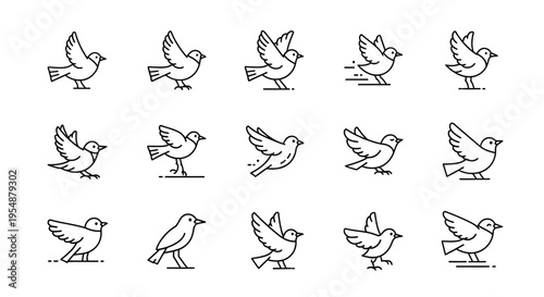 Set of Minimalist Bird Icons in Various Poses