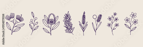 Lavender sprig drawing, wheat stalk sketch, botanical nature elements, hand drawn floral doodles, rustic garden illustration, organic herbal sketches, meadow plant graphics