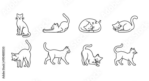 Set of Cute Hand Drawn Cat Poses Line Art Icons