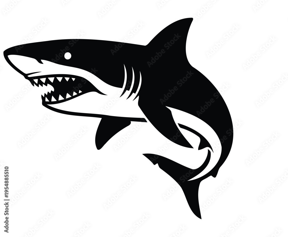 Fototapeta premium A black and white image of a shark