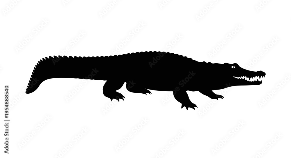 Fototapeta premium Black silhouette of crocodile.