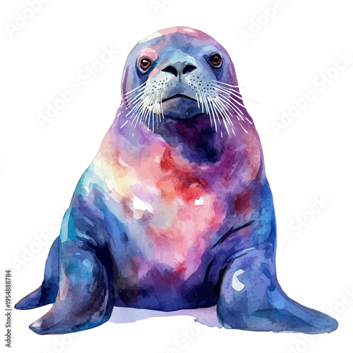 watercolor vector of Walrus, isolated on a white background.