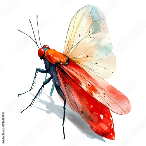 Thrips, watercolor vector, isolated on a white background.