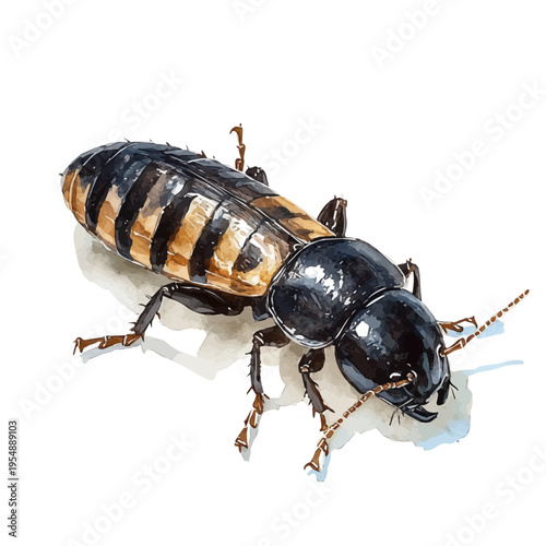 Termite, watercolor vector, isolated on a white background.