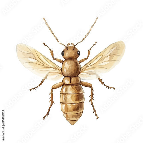 Termite, watercolor clipart vector, isolated on a white background.