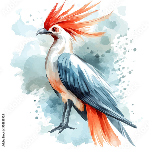 Secretary Bird, watercolor painting vector, isolated on a white background.