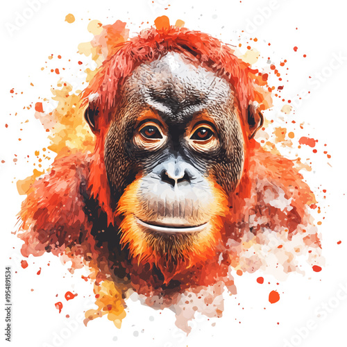 Orangutan, watercolor vector, isolated on a white background.