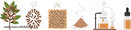 Coffee Production Process Icons Set from Plant Beans Roasting Grinding Brewing and Extraction Equipment Vector Illustration for Cafe Industry and Beverage Design Projects