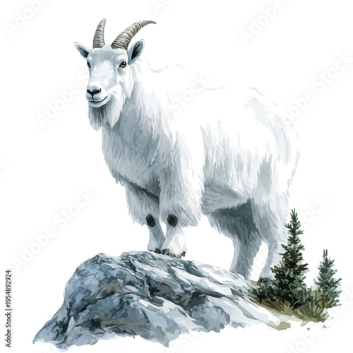 Valokuva Mountain Goat, watercolor drawing vector, isolated on a white background