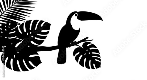 Black Silhouette of Tropical Toucan.