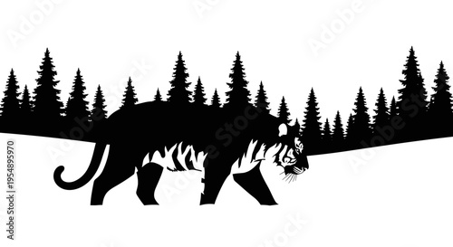 Black silhouette of tiger walking.