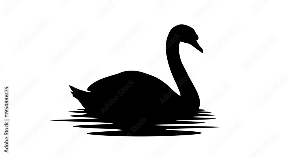 Fototapeta premium Black Swan Silhouette on Water 3.